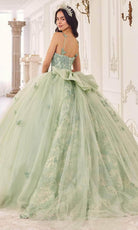 Cinderella Divine 15718 - Floral Applique Ballgown - back view