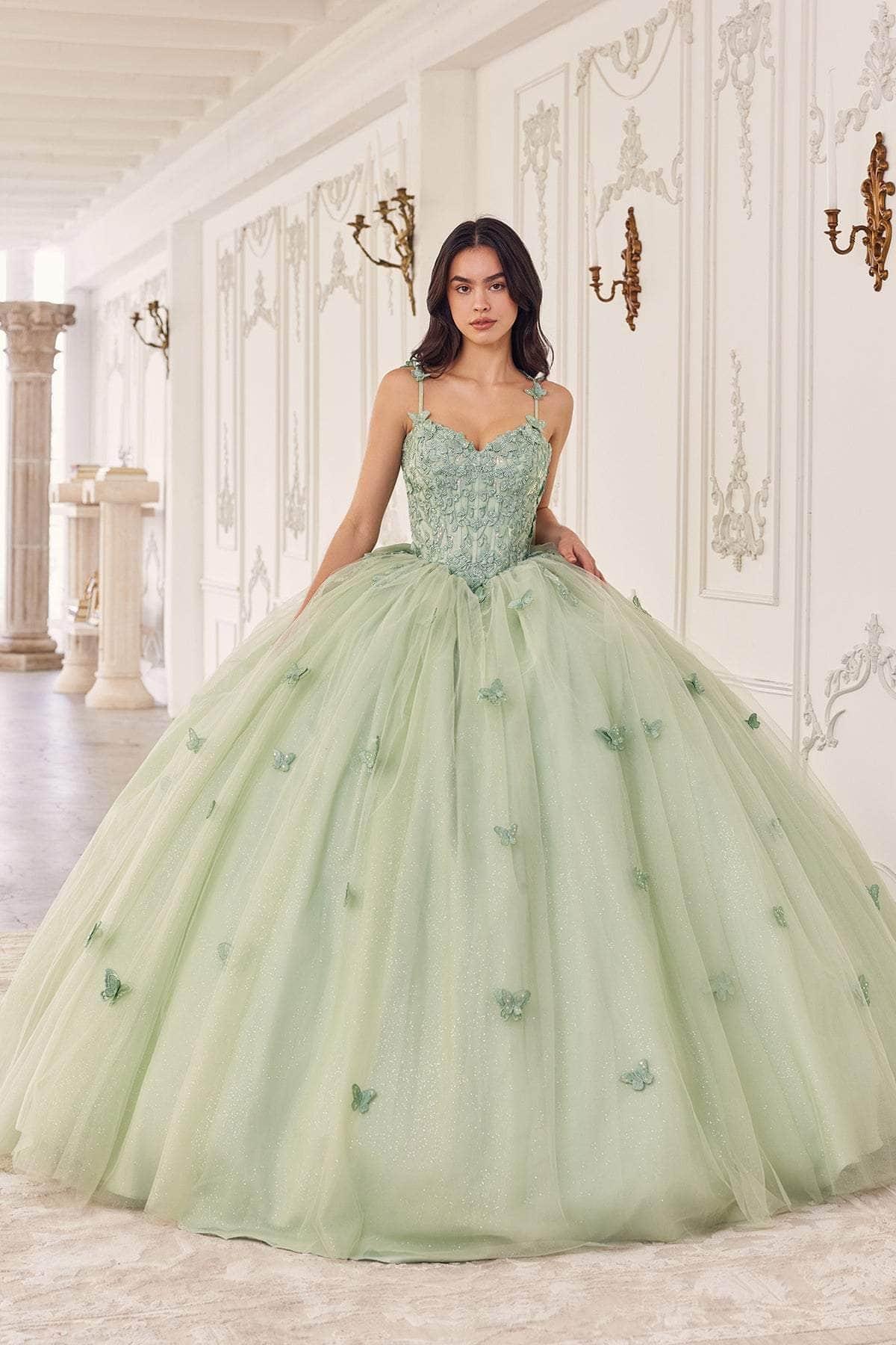 Cinderella Divine 15718 - Floral Applique Ballgown - view 5