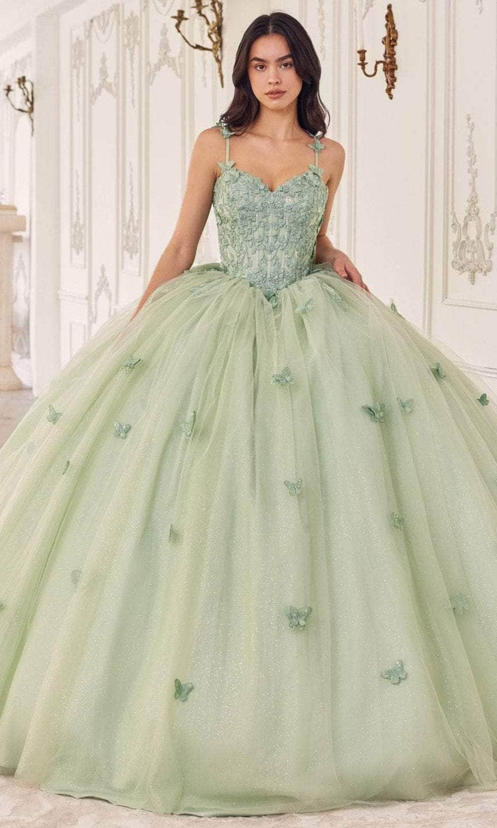 Cinderella Divine 15718 - Floral Applique Ballgown - Silhouette Dresses