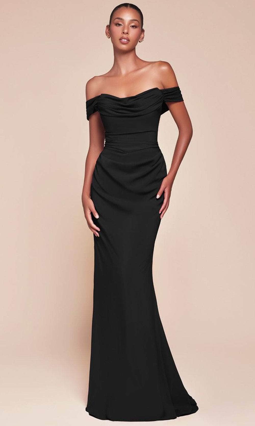 Cinderella Divine 7433 - Chiffon Sash Long Gown - back view