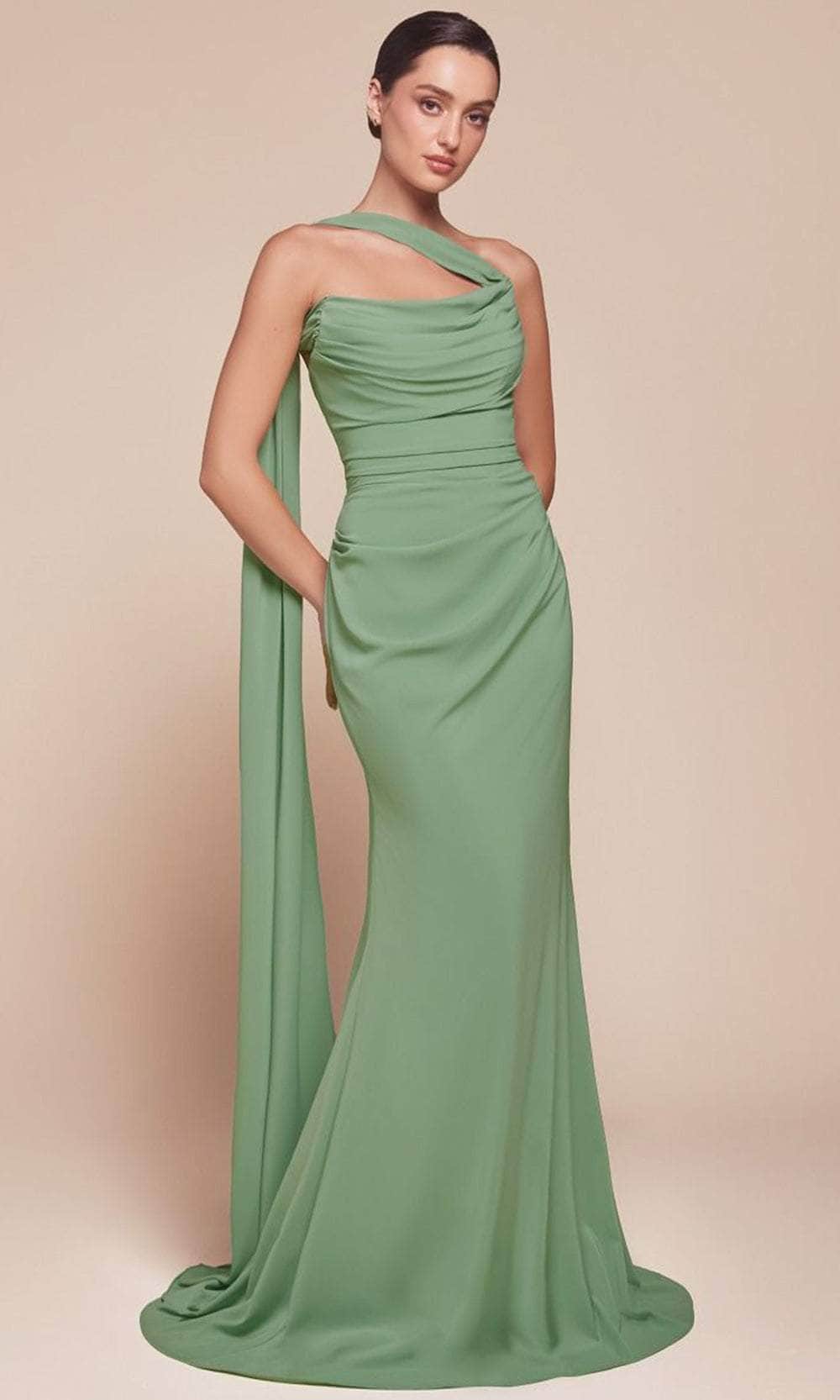 Cinderella Divine 7433 - Chiffon Sash Long Gown - view 4