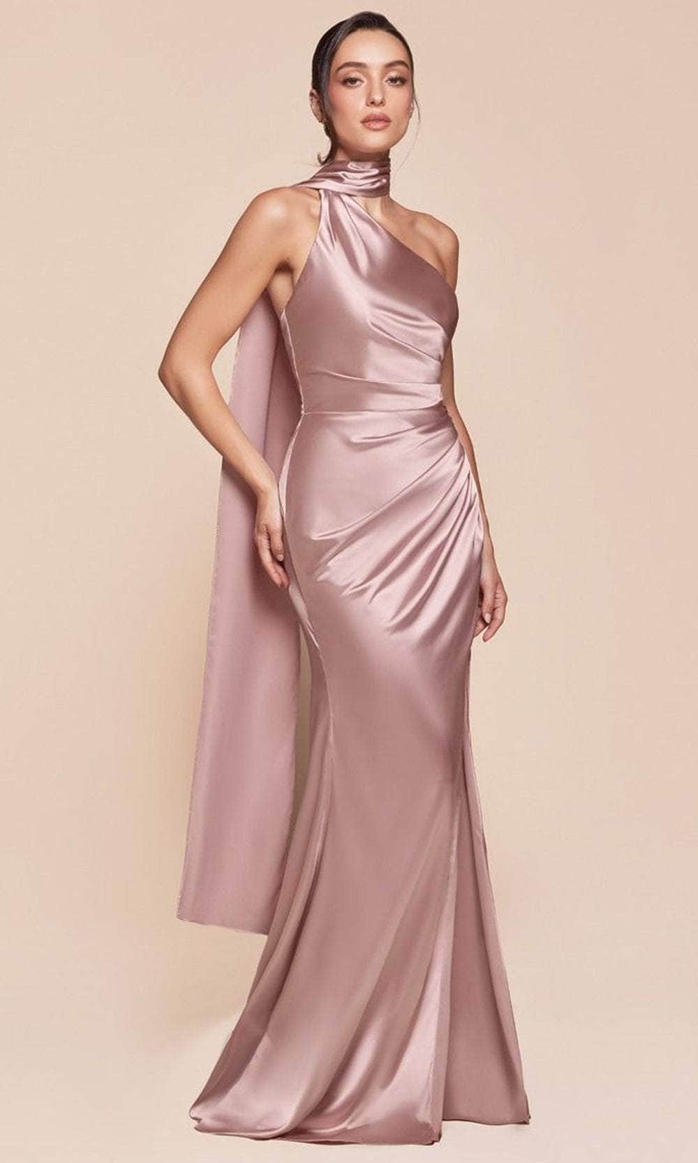 Cinderella Divine 7454 - Fitted One Shoulder Long Gown - view 4