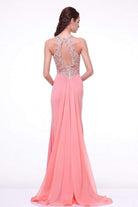 Cinderella Divine - 8744 Beaded Illusion Sheath Dress - back view