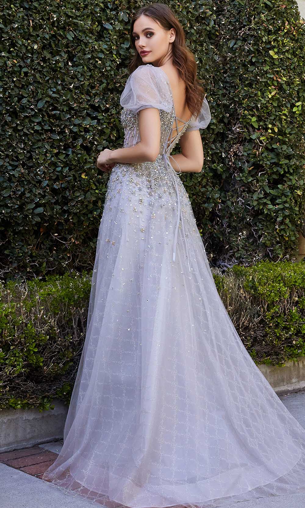 Cinderella Divine B708 - Bateau Neck Ball gown - back view