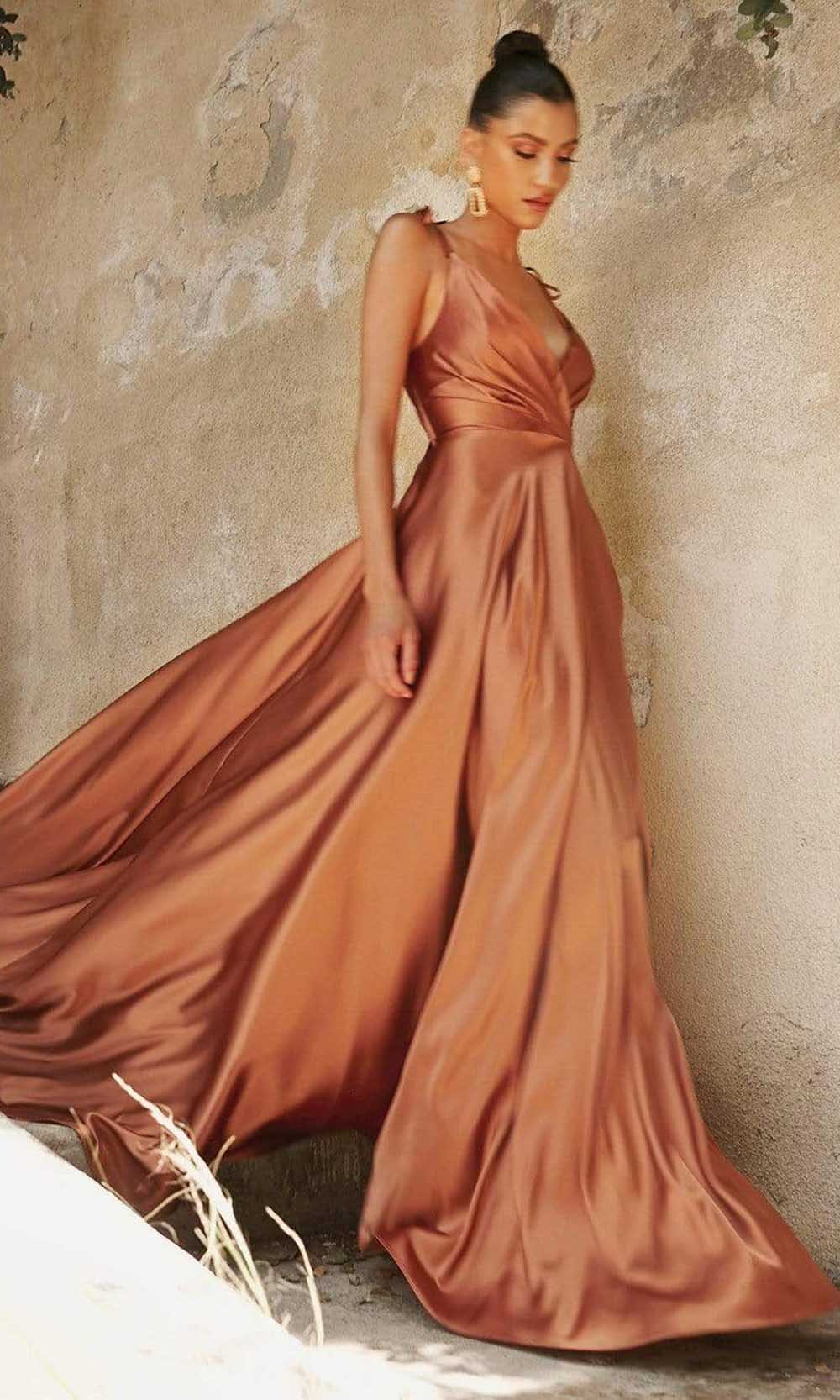 Cinderella Divine - BD105 Tie Strap V-Neck Affordable Prom Gown - view 9