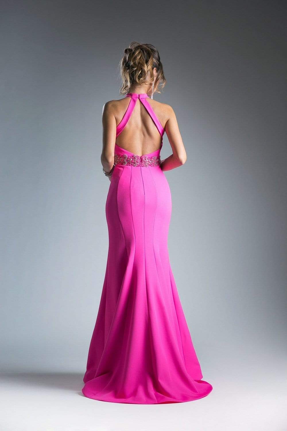 Cinderella Divine - Beaded Halter Neck Scuba Mermaid Dress - back view