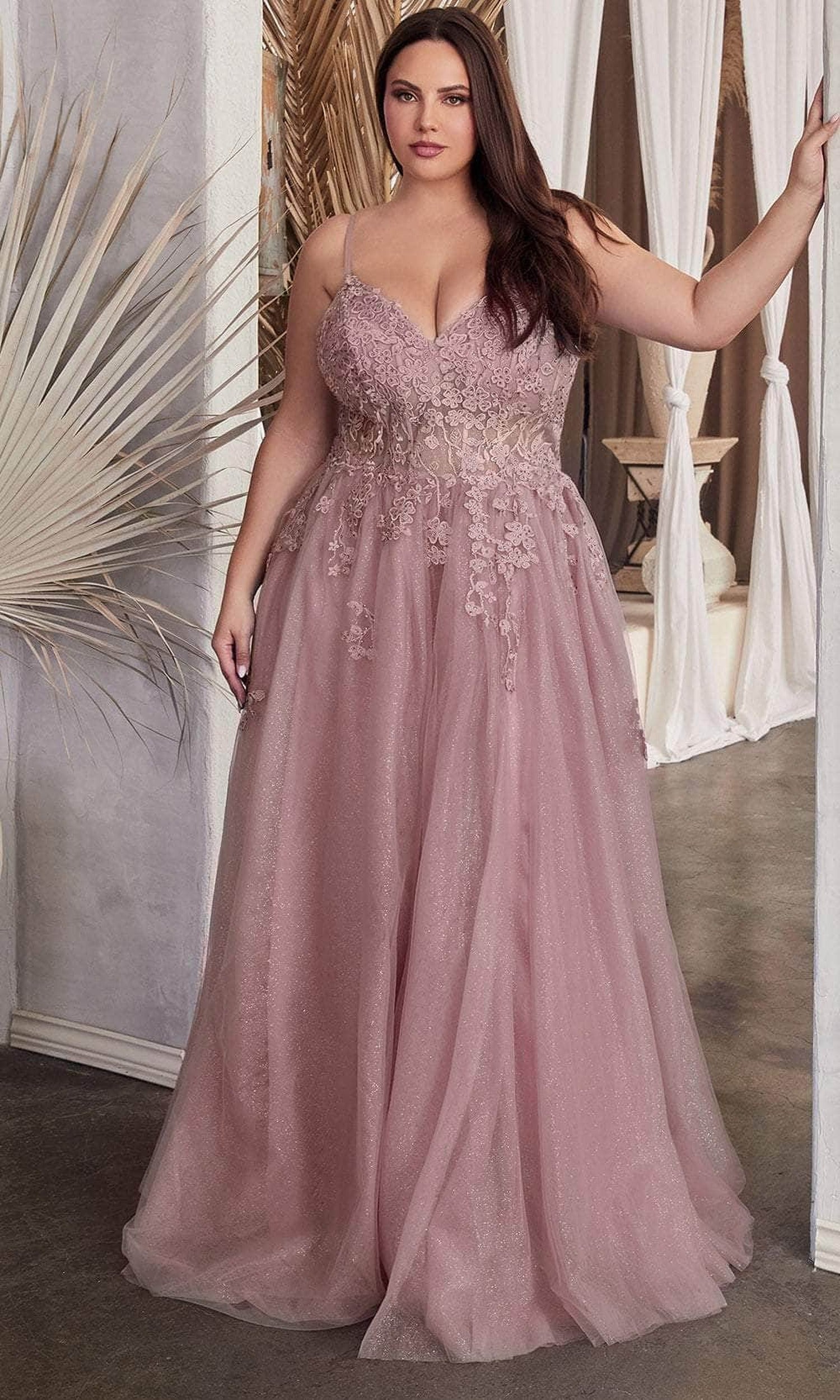 Cinderella Divine C148 - Embroidered A-line Dress