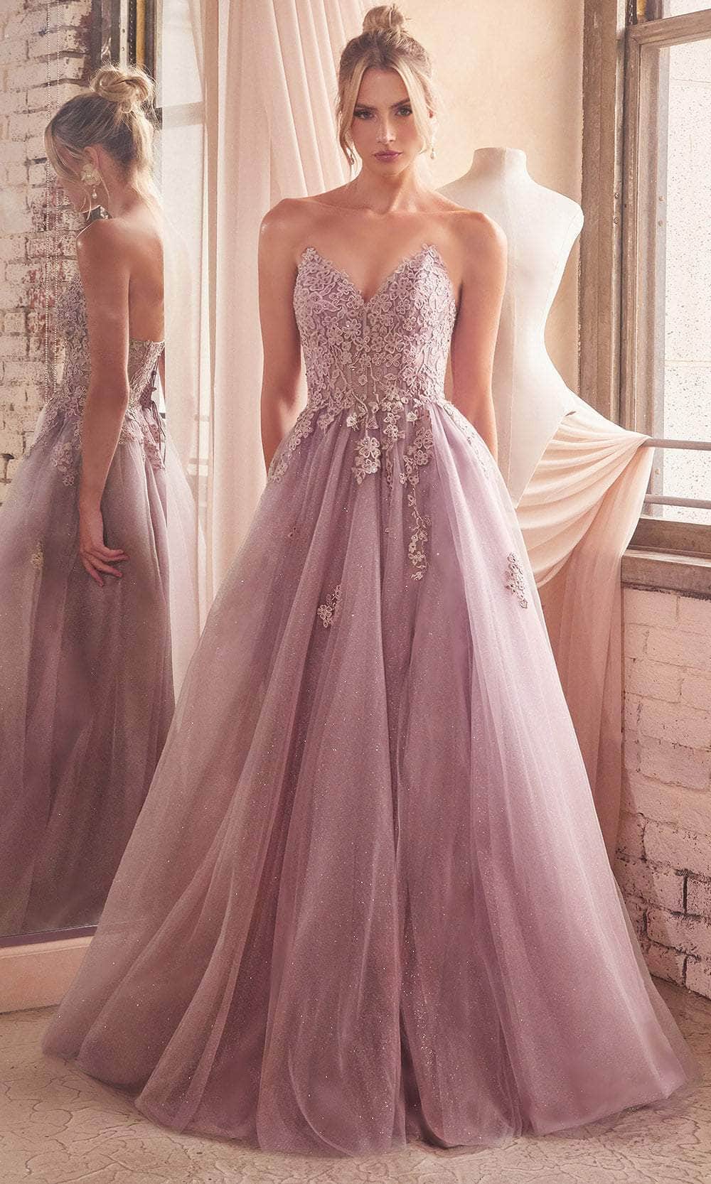 Cinderella Divine C148 - Embroidered A-line Dress - back view