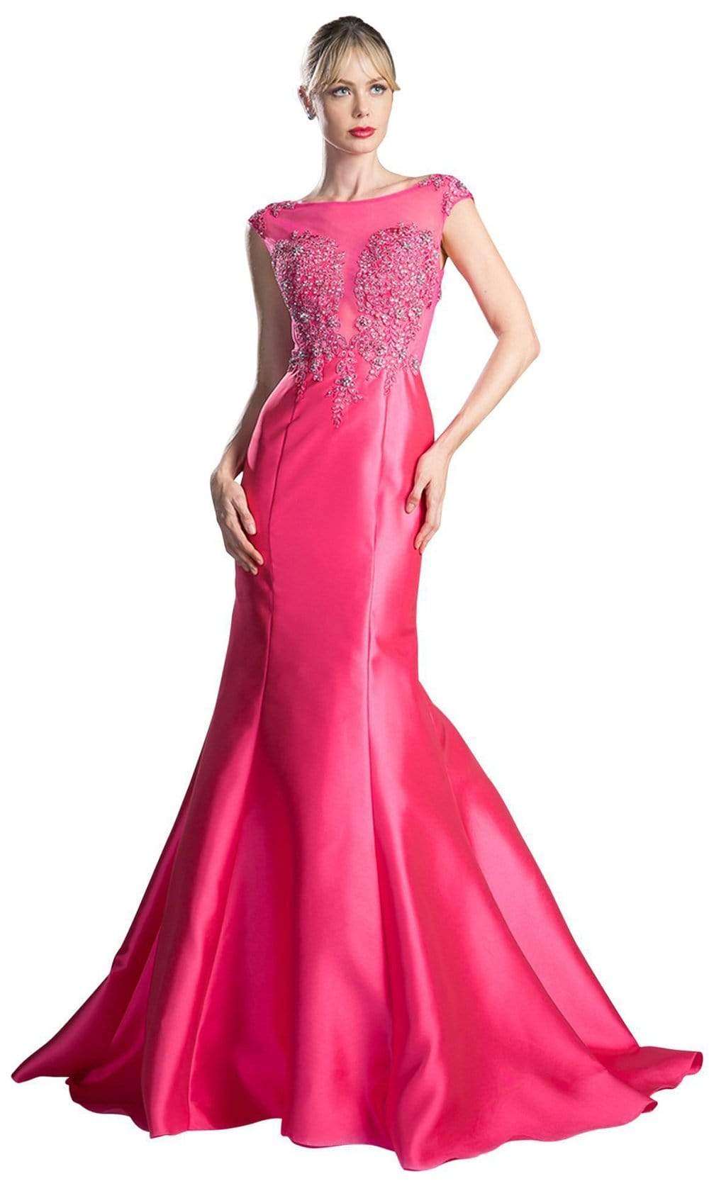 Cinderella Divine - 8984A Cap Sleeve Appliqued Plunging Illusion Gown - back view