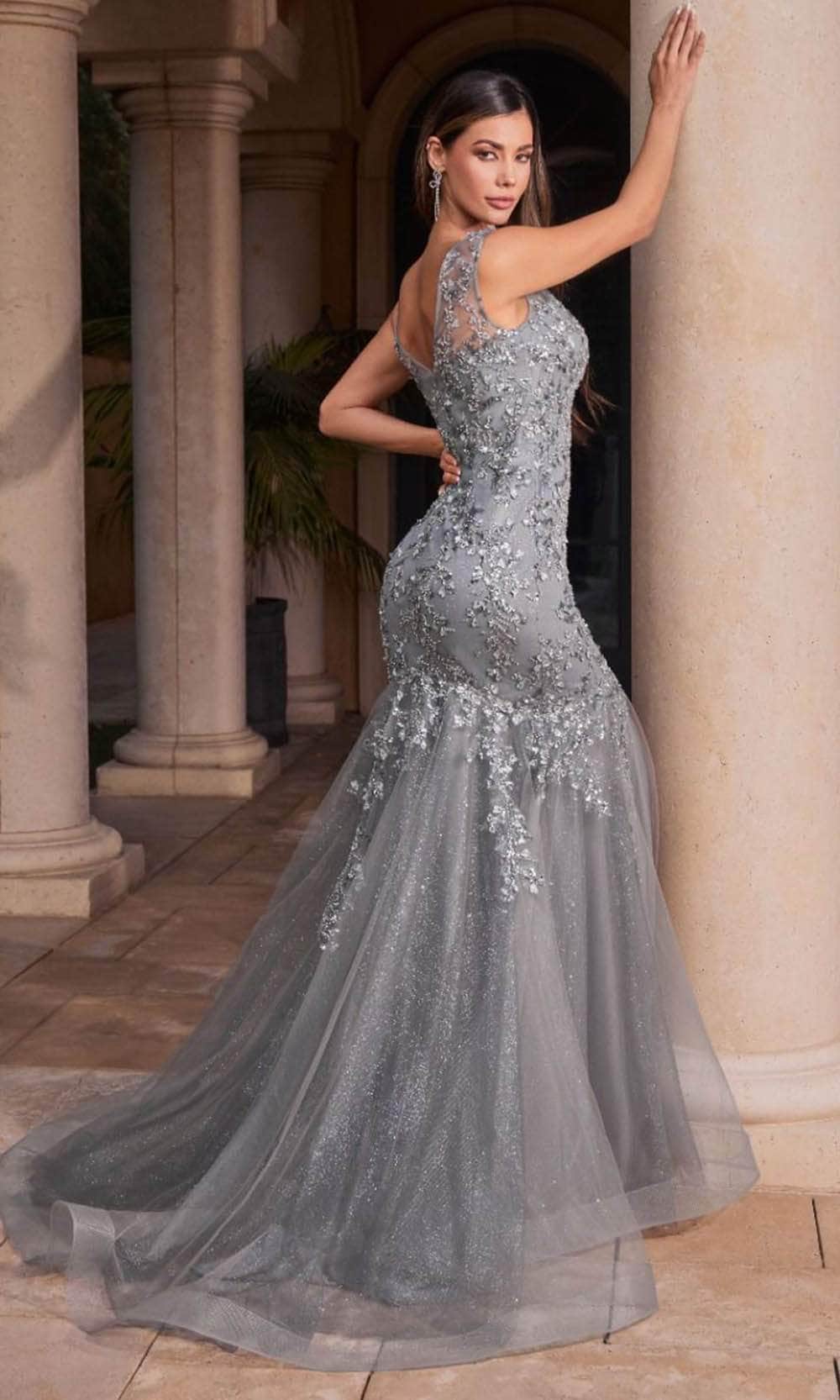 Cinderella Divine CB128 - Sheath Gown with Illusion Floral Appliques - Silhouette Dresses