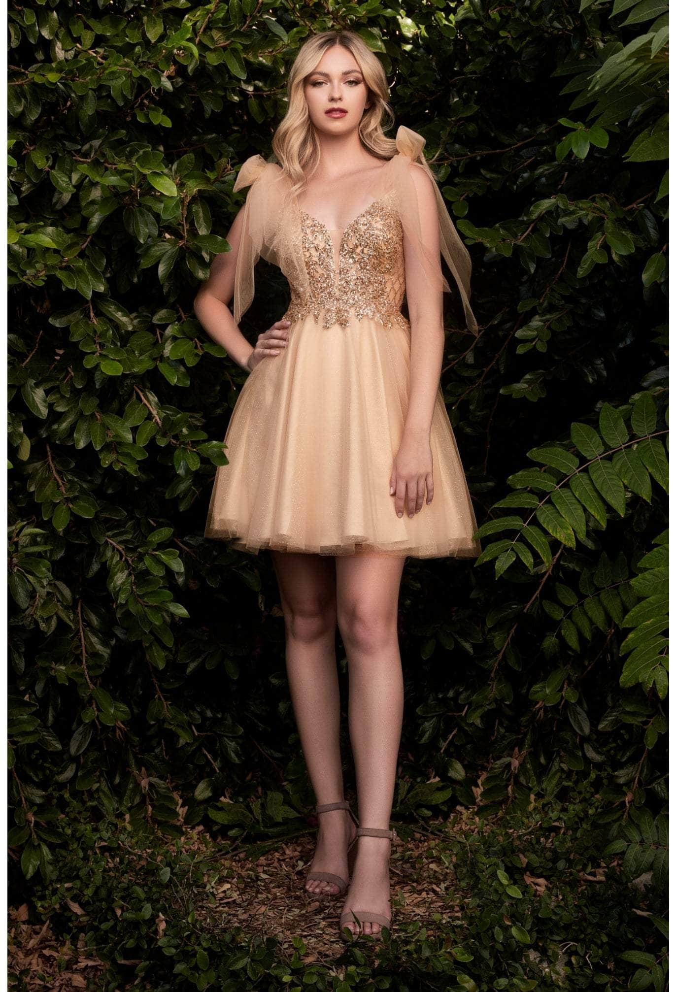 Cinderella Divine - CD0174 Embellished Deep V Neck A-line Dress - view 5