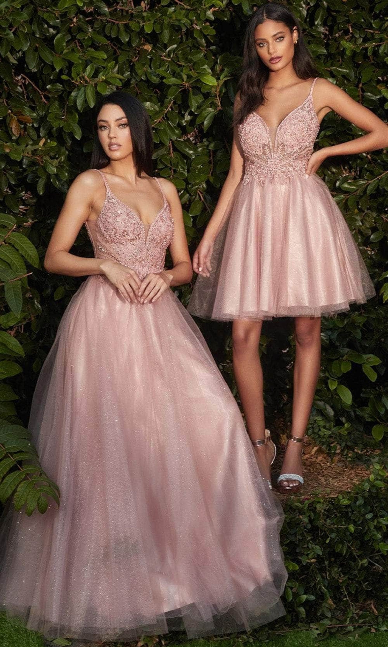 Cinderella Divine CD0195 - Embellished Lace Tulle Prom Dress