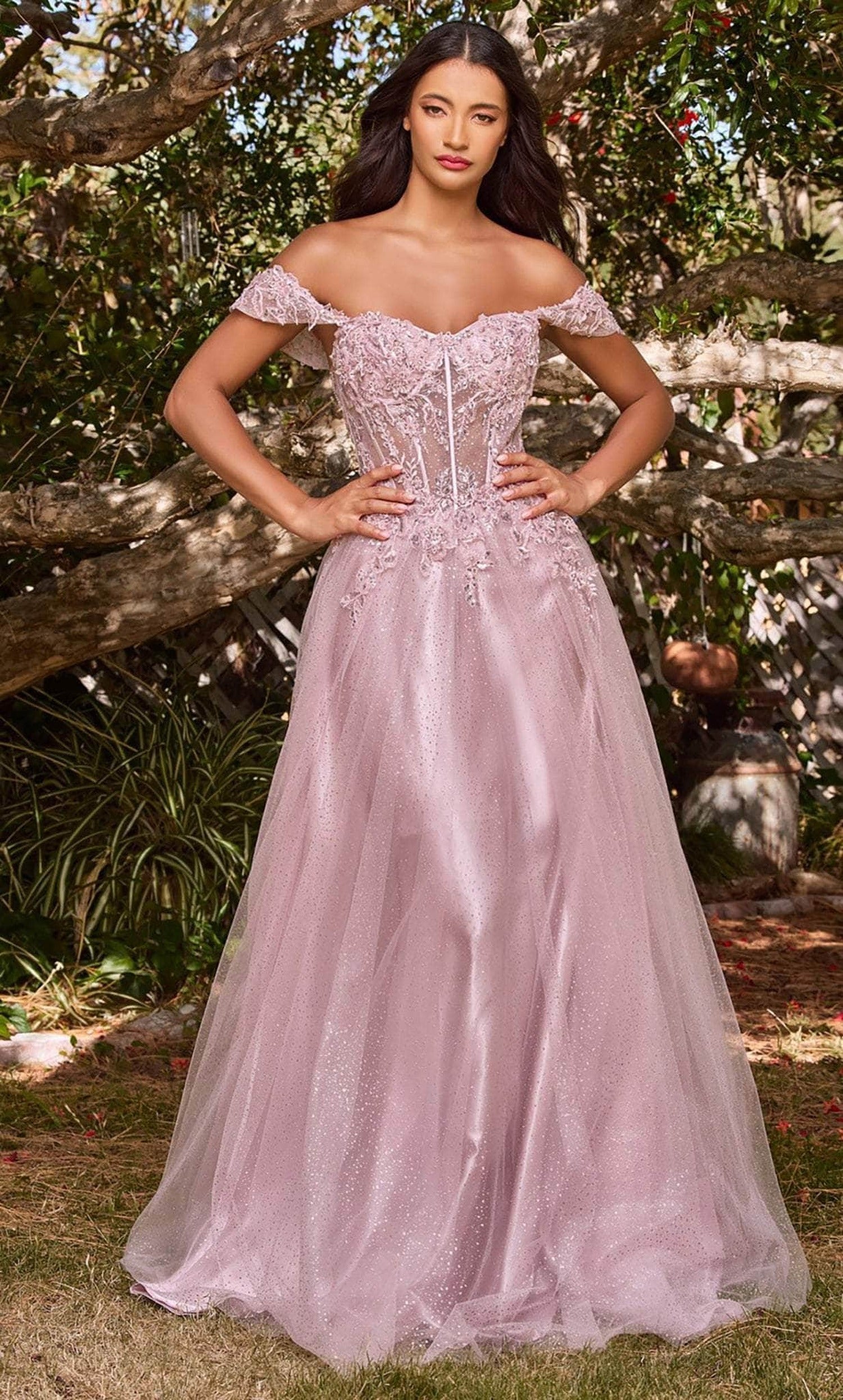 Cinderella Divine CD0198 - Off Shoulder Lace Appliqued Prom Dress