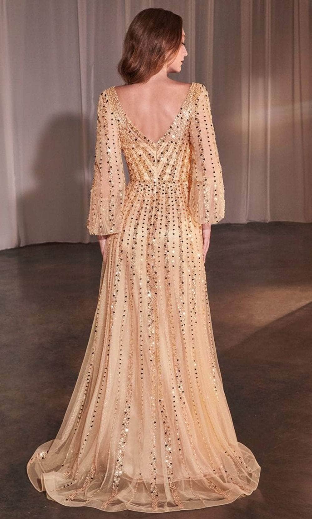 Cinderella Divine CD0240 - Bishop Sleeve Sheer Evening Gown - detail view