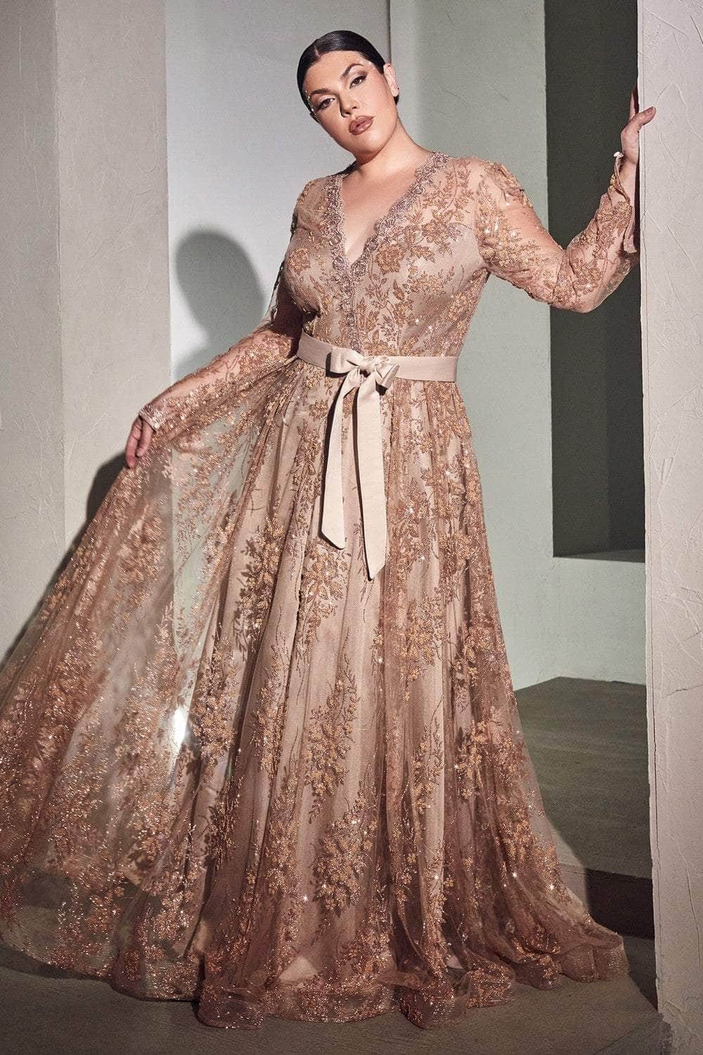 Cinderella Divine CD233C - Long sleeve A-Line Long Dress - Silhouette Dresses