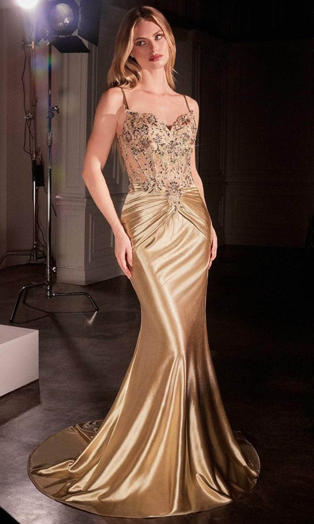 Cinderella Divine CD776 - Illusion V-Neck Long Gown - detail view