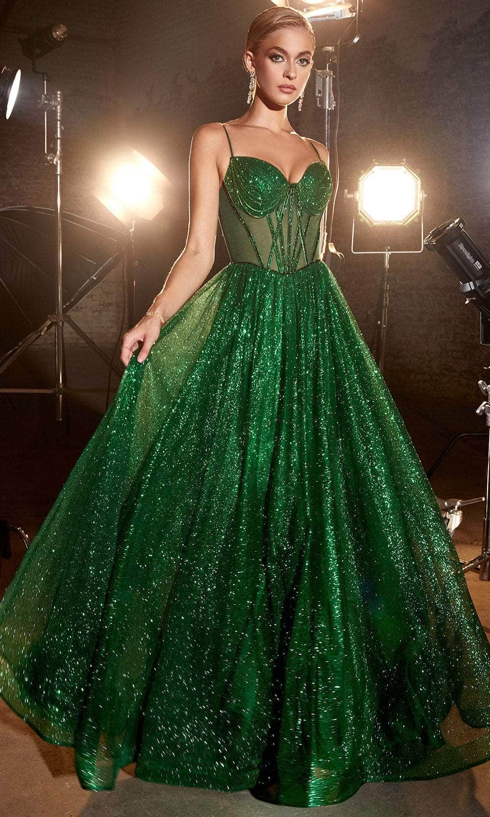 Cinderella Divine CD832 - Sheer Corset Sleeveless Ballgown - back view