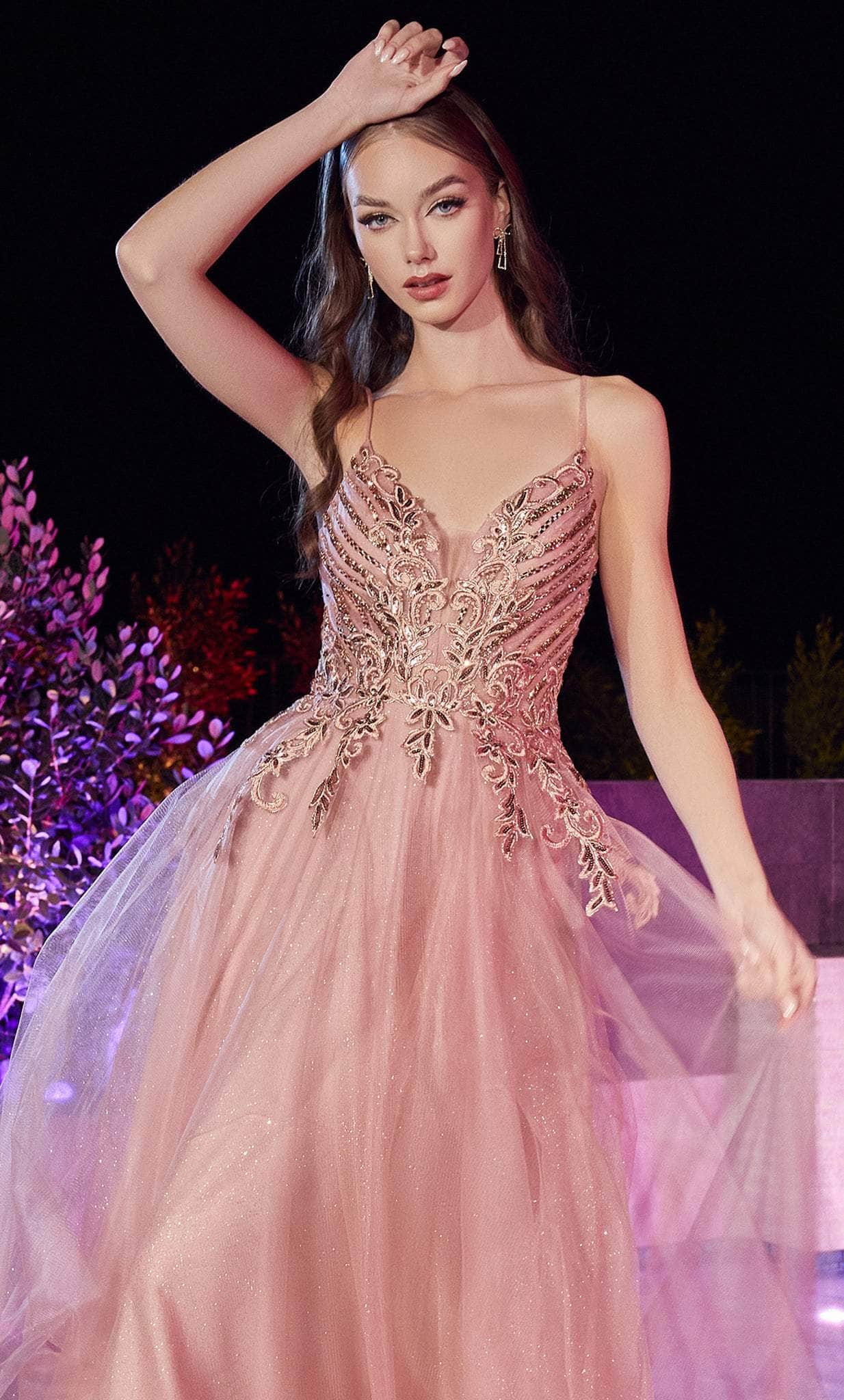 Cinderella Divine CD874 - Long Tulle Prom Dress with Applique Details - view 5