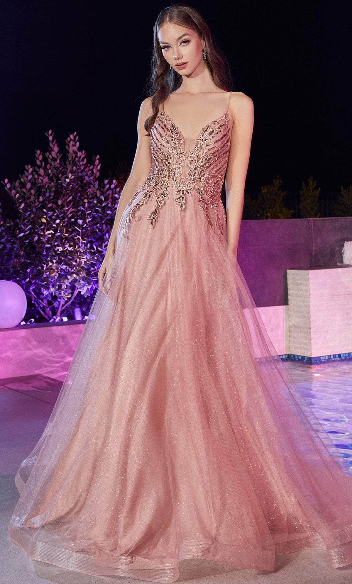 Cinderella Divine CD874 - Long Tulle Prom Dress with Applique Details - detail view
