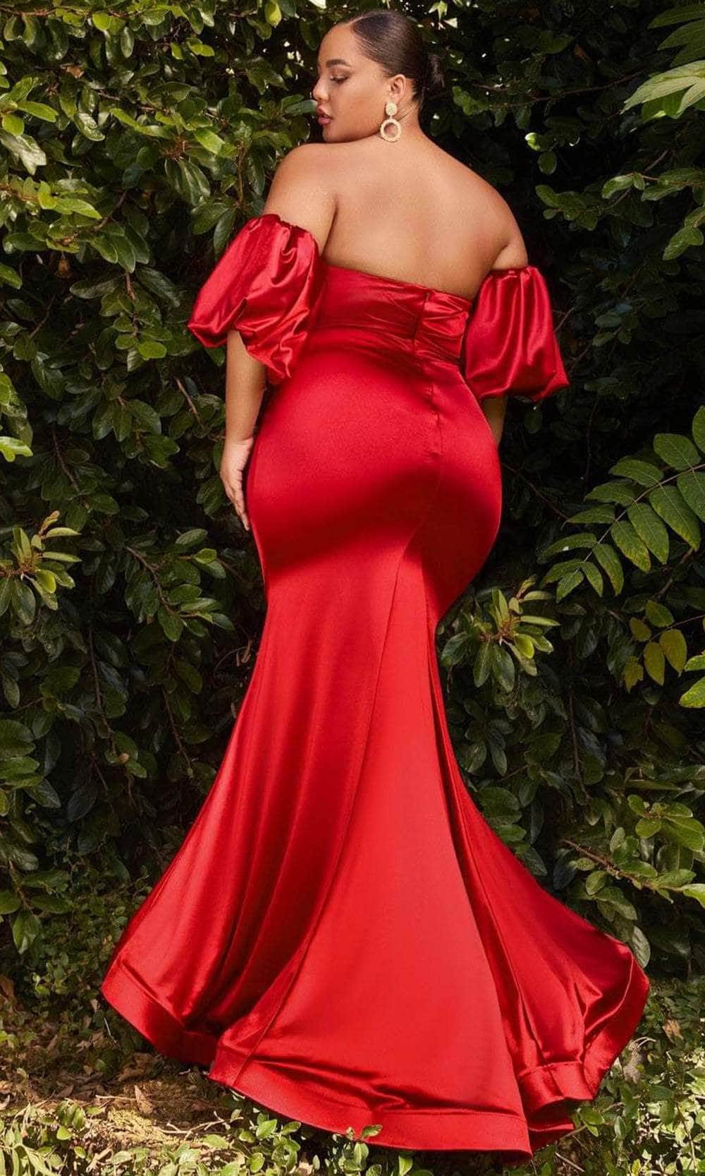 Cinderella Divine CD983C - Puff Sleeve Long Gown - detail view
