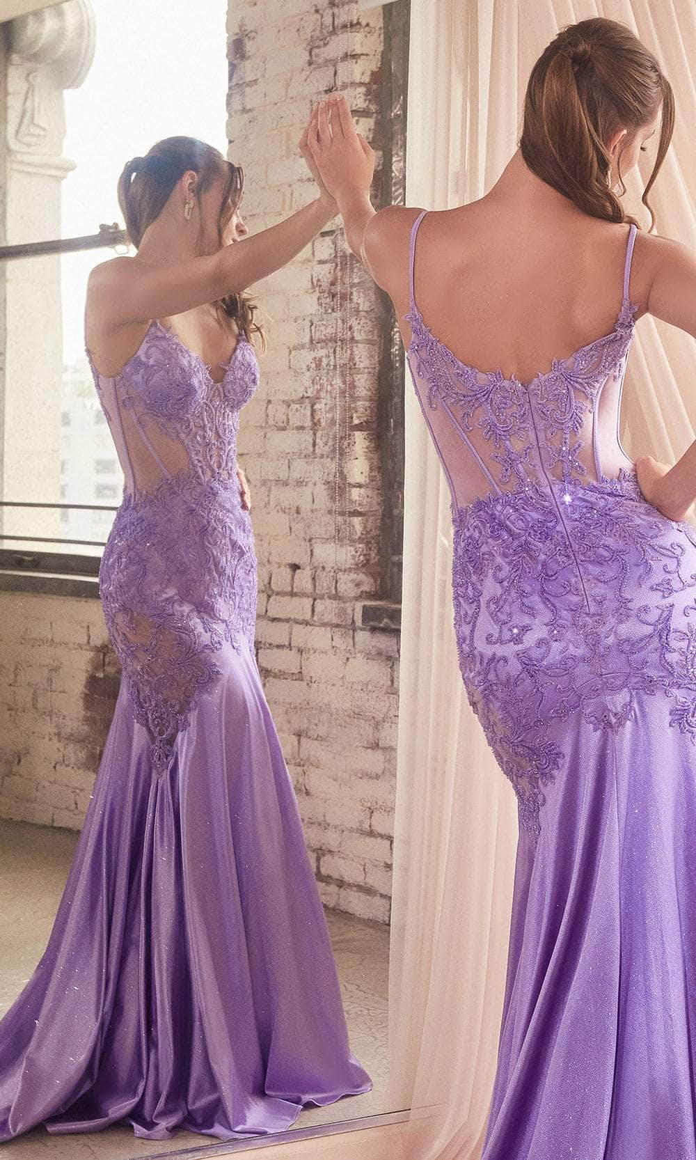 Cinderella Divine CDS470 - Evening Dress with Beaded Illusion Appliques - view 5