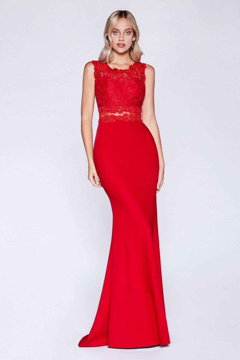 Cinderella Divine - CF115 Sleeveless Lace Stretch Knit Sheath Dress - back view