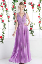 Cinderella Divine - Pleated V-neck A-line Dress - back view