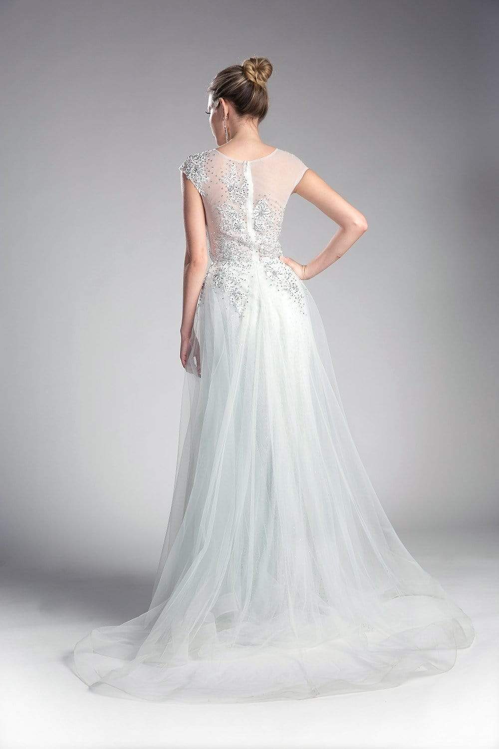 Cinderella Divine - Sheer Scoop Beaded Tulle A-Line Evening Gown - back view