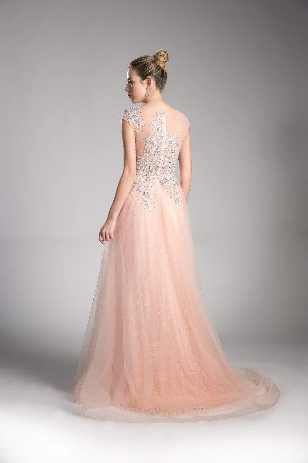 Cinderella Divine - Sheer Scoop Beaded Tulle A-Line Evening Gown - view 4
