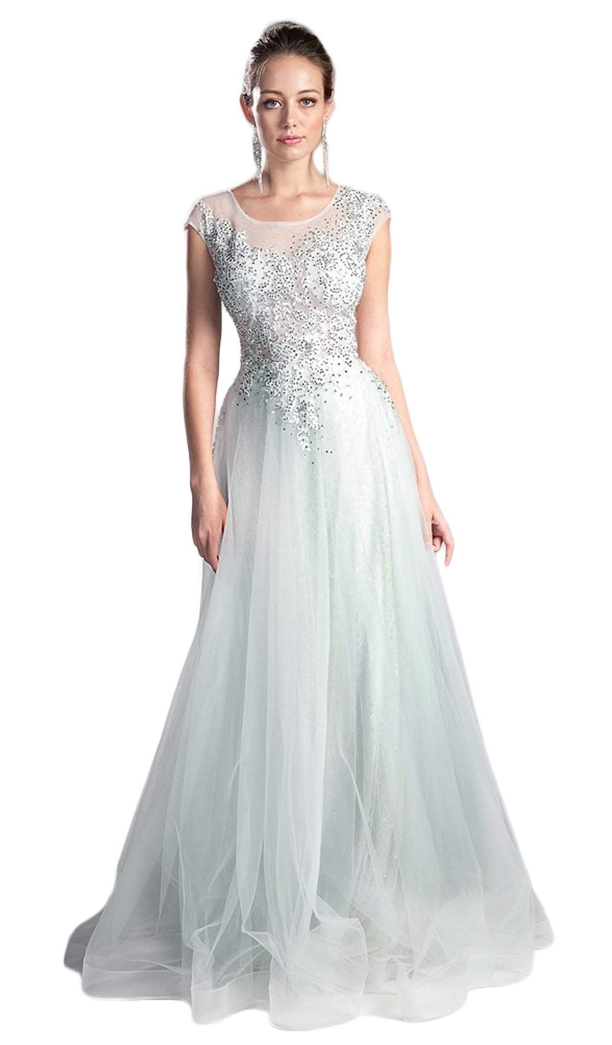 Cinderella Divine - Sheer Scoop Beaded Tulle A-Line Evening Gown - designer evening gown at Silhouette Dresses