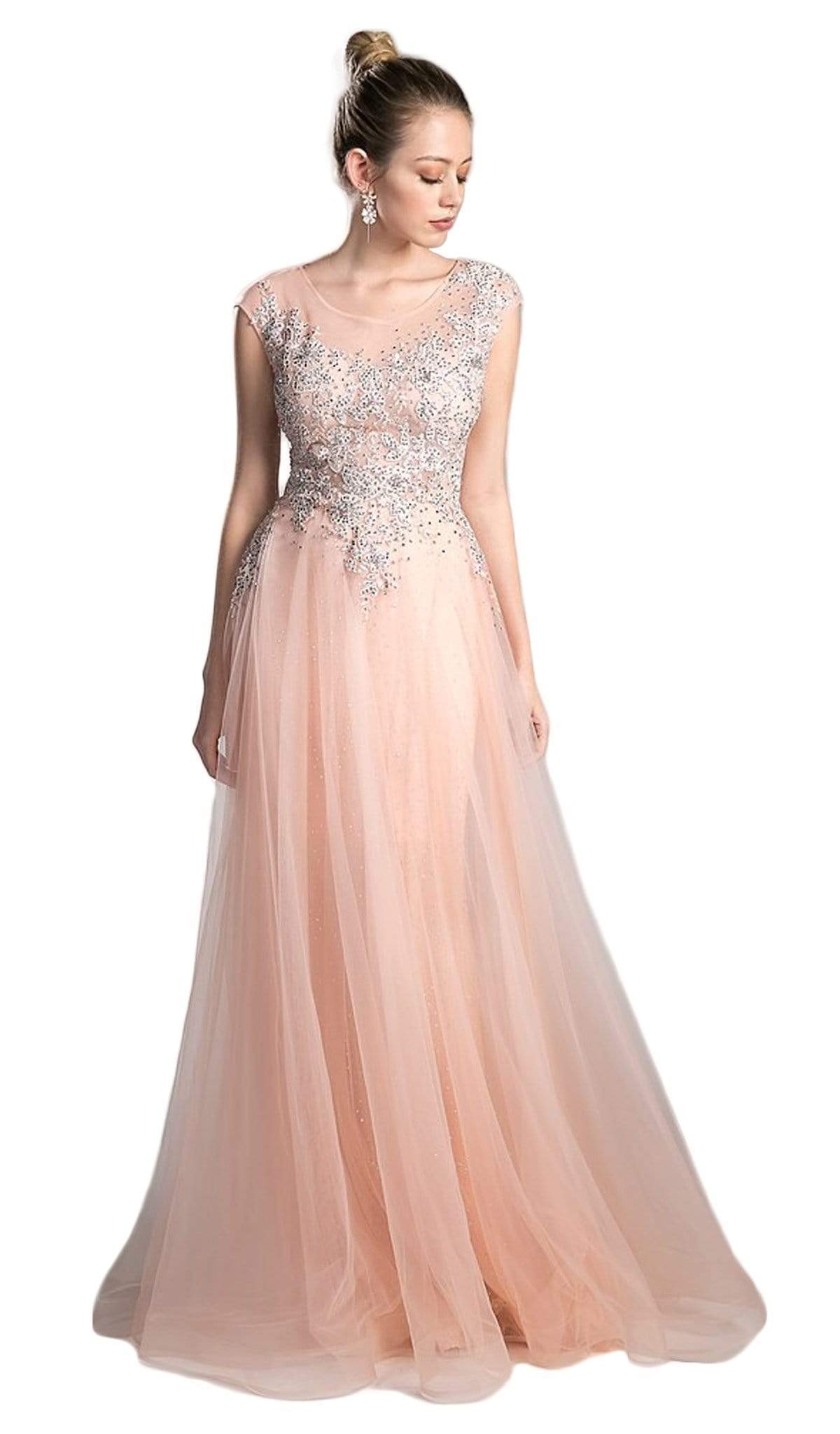 Cinderella Divine - Sheer Scoop Beaded Tulle A-Line Evening Gown - detail view
