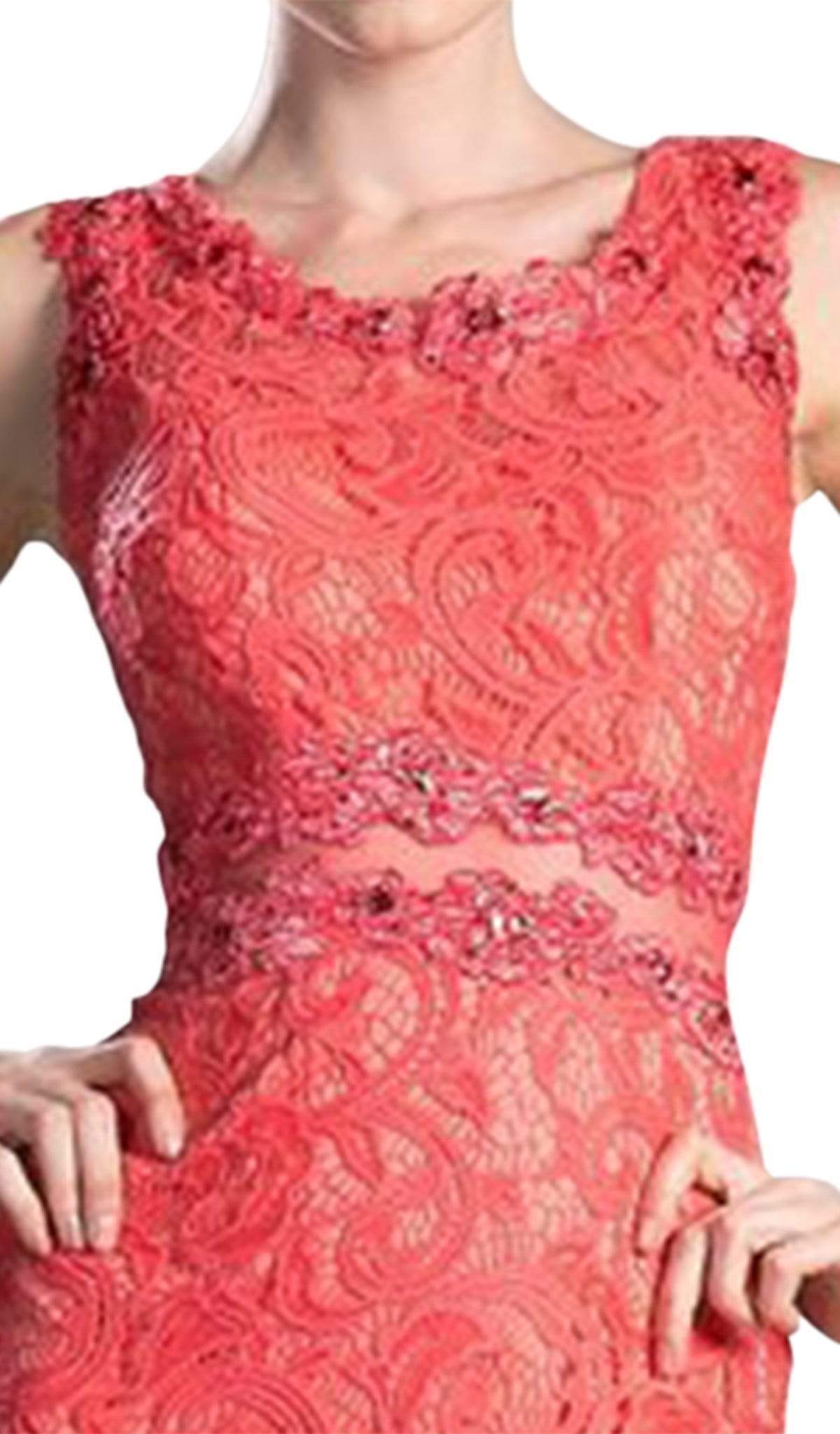 Cinderella Divine - Sleeveless Illusion Jewel Lace Sheath Fitted Cocktail Dress - view 7