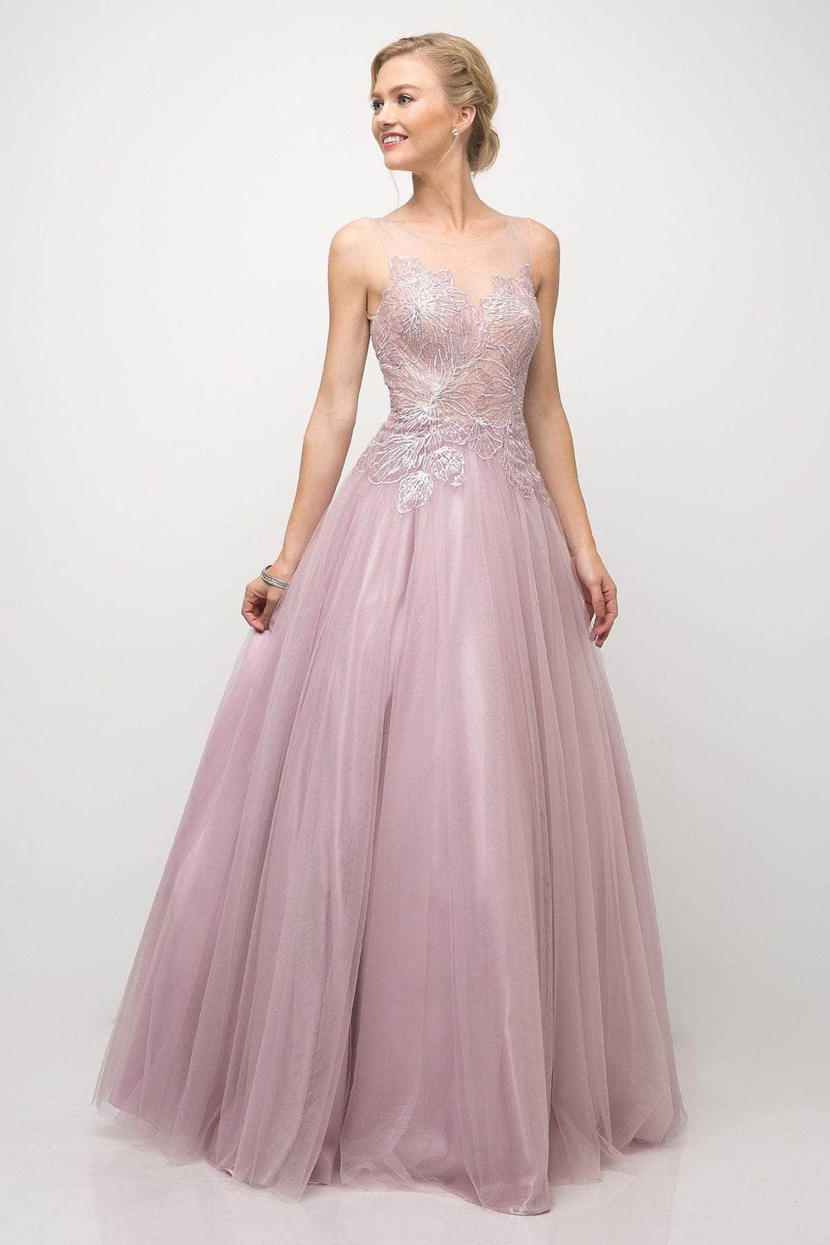 Cinderella Divine - UE009 Illusion Neckline Lace Bodice Tulle Gown - view 5