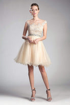 Cinderella Divine - UJ0012 Illusion Shoulders Ruffled Hem Cocktail Dress - view 8