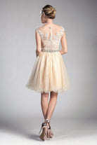 Cinderella Divine - UJ0012 Illusion Shoulders Ruffled Hem Cocktail Dress - view 9