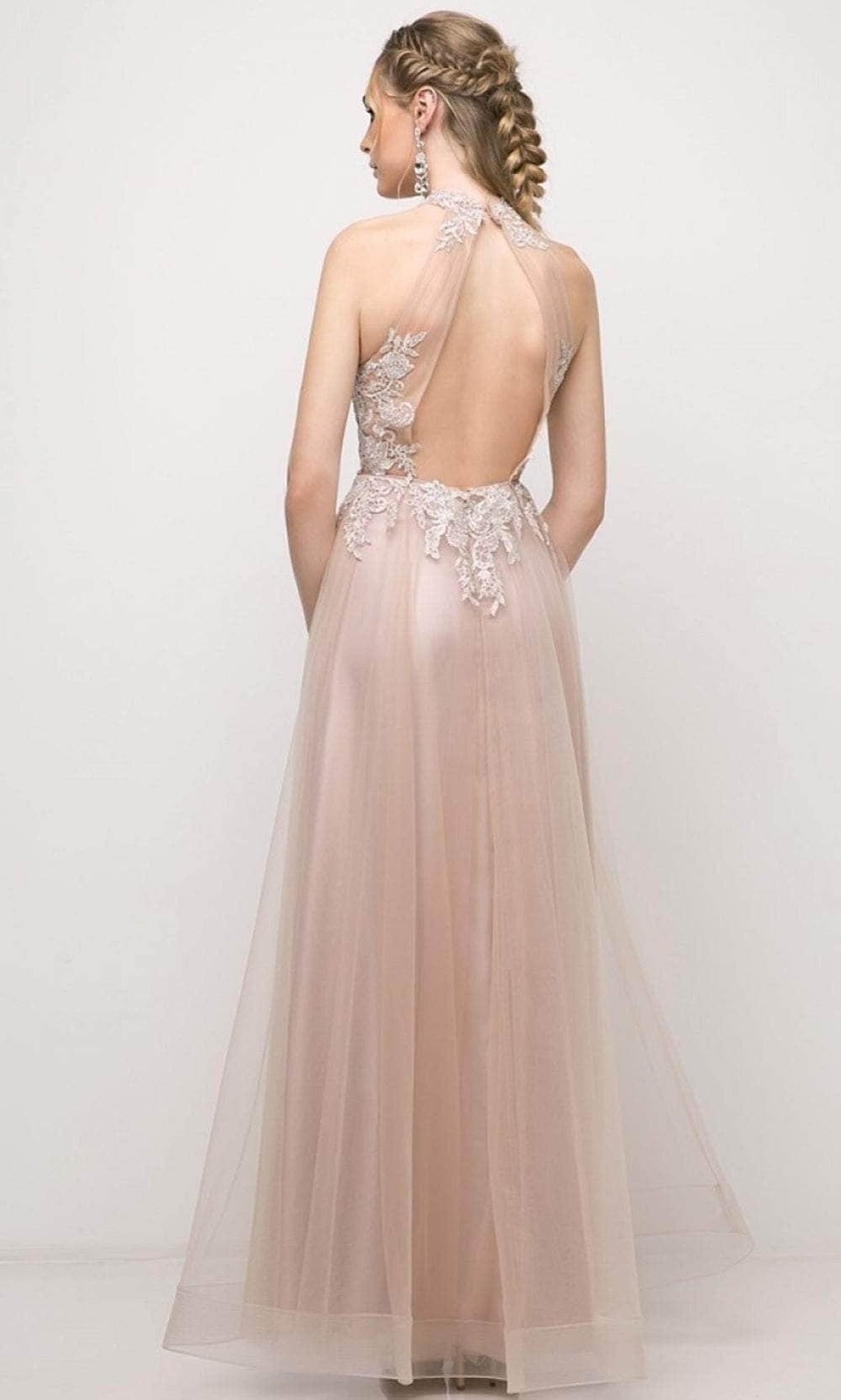 Cinderella Divine UT252 - Tulle High Neck Embroidered Gown