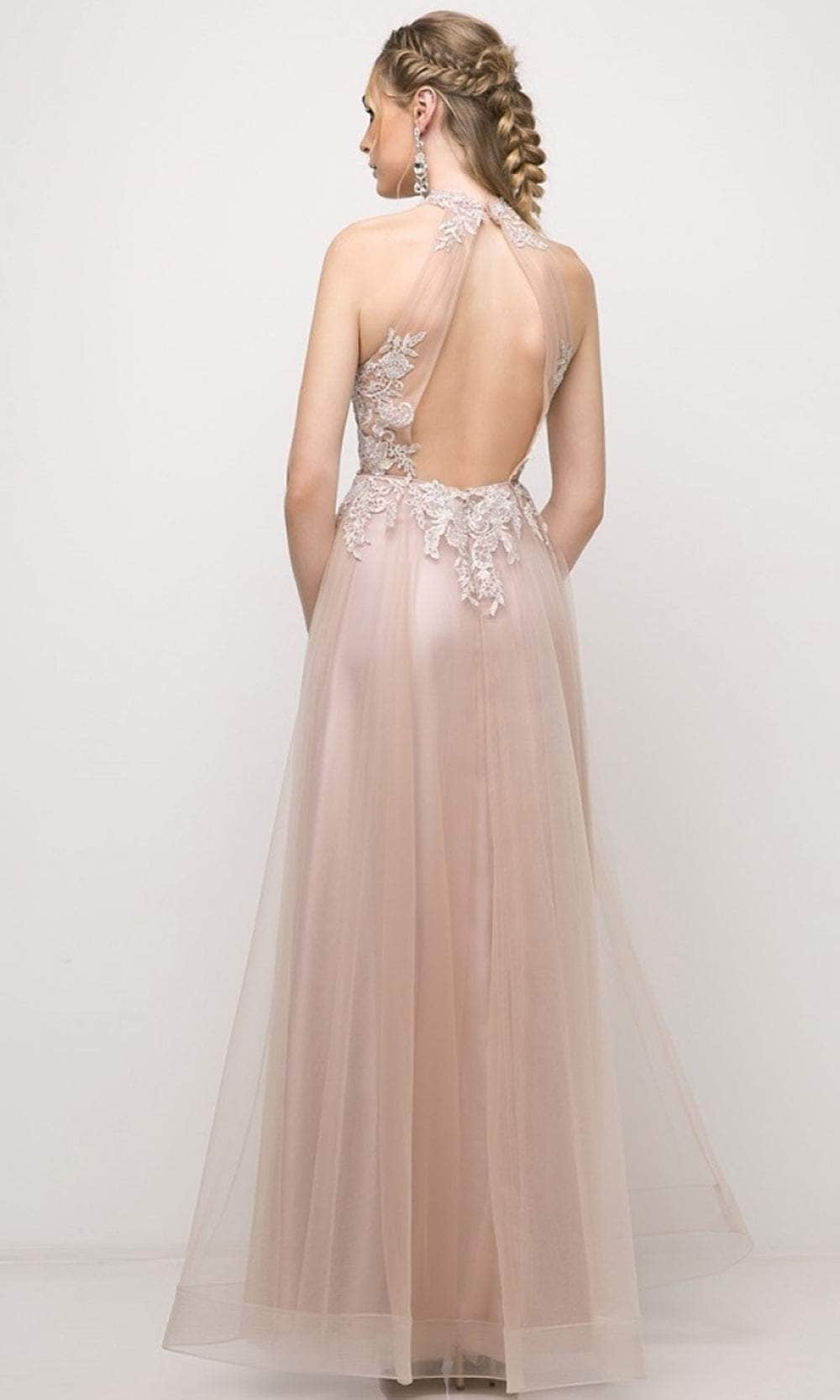 Cinderella Divine UT252 - Tulle High Neck Embroidered Gown - back view