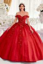 Ladivine 15717 - Floral Accented Ballgown
