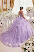 Ladivine 15717 - Floral Accented Ballgown - Silhouette Dresses