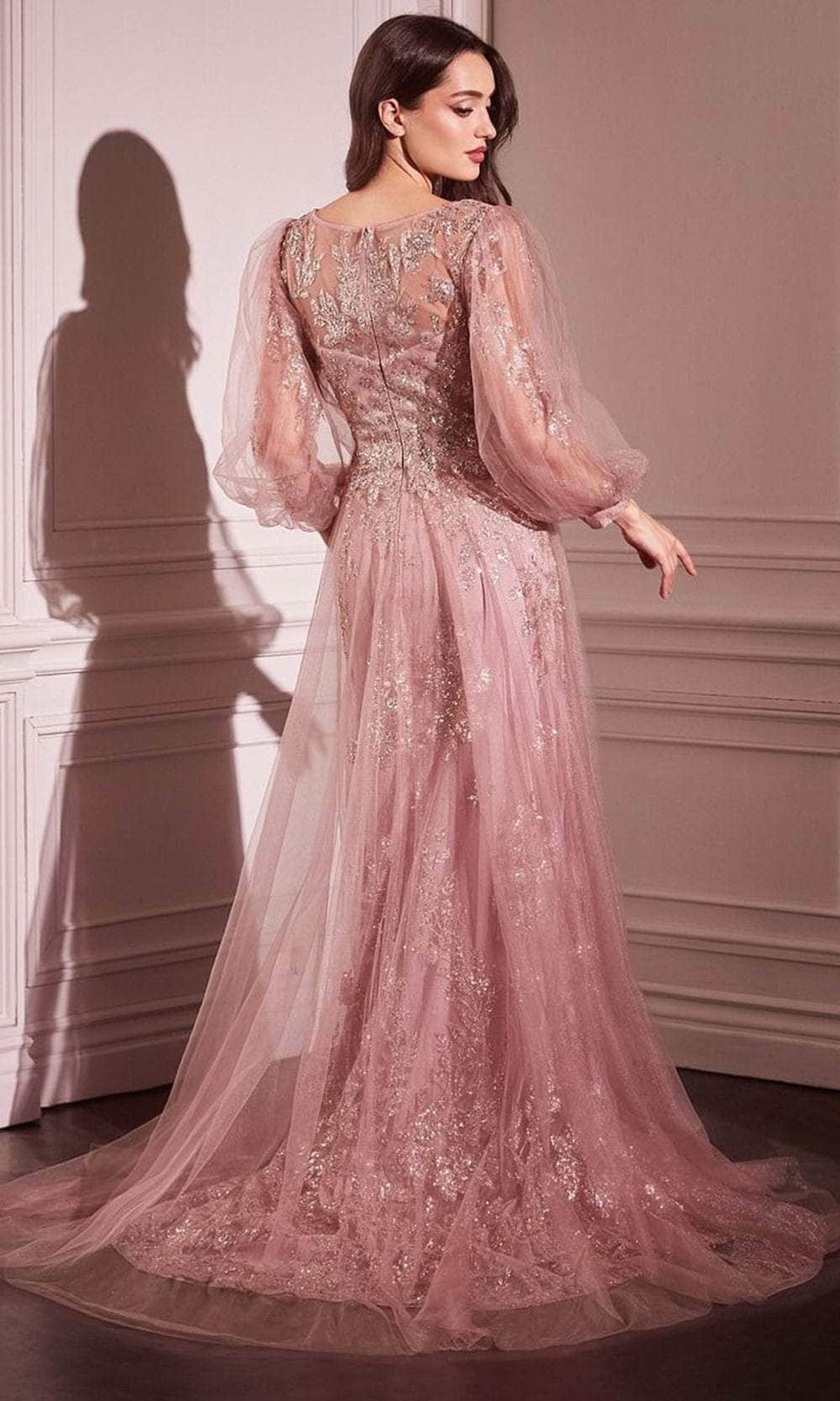 Ladivine CD0102 - Long Sleeve Applique Gown