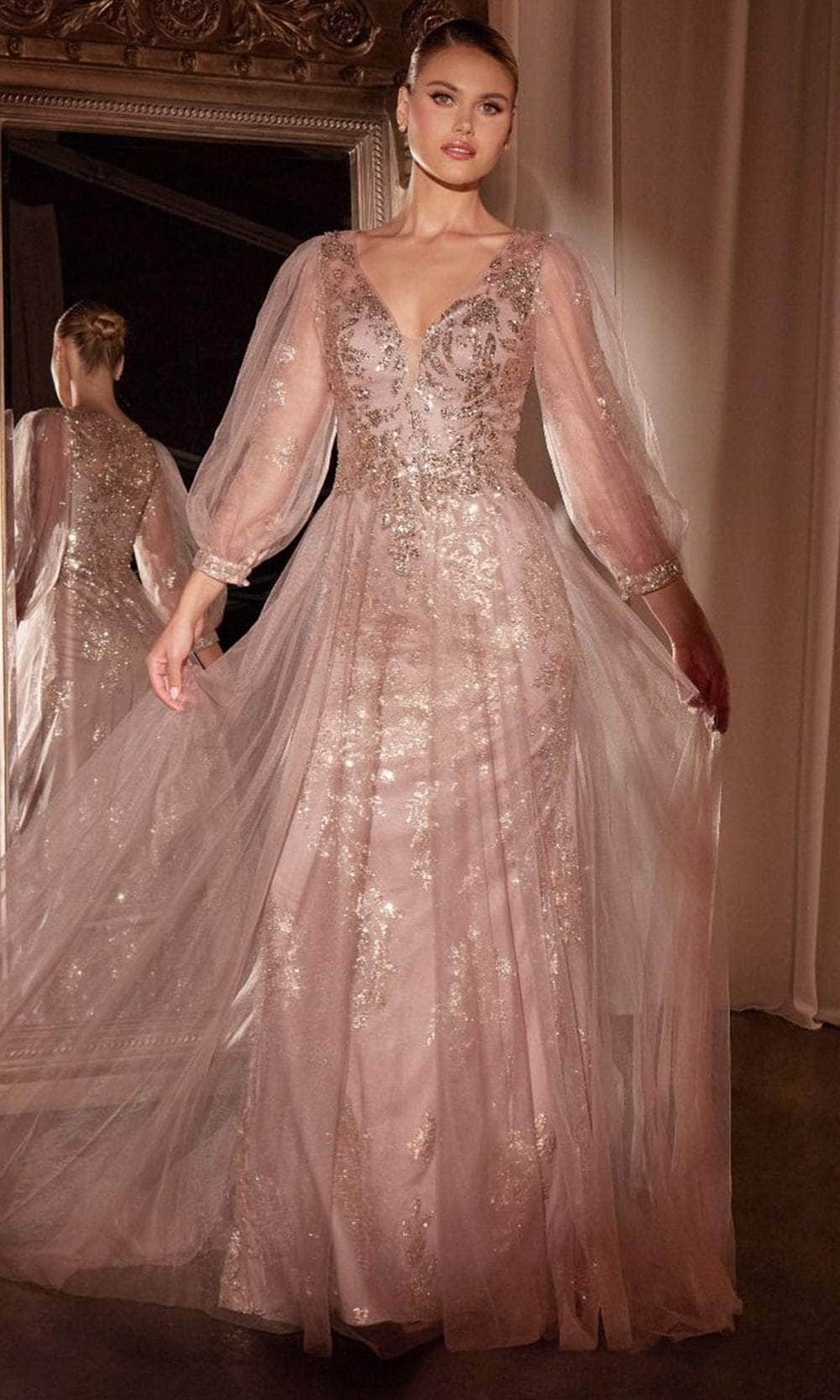 Ladivine CD0102 - Long Sleeve Applique Gown