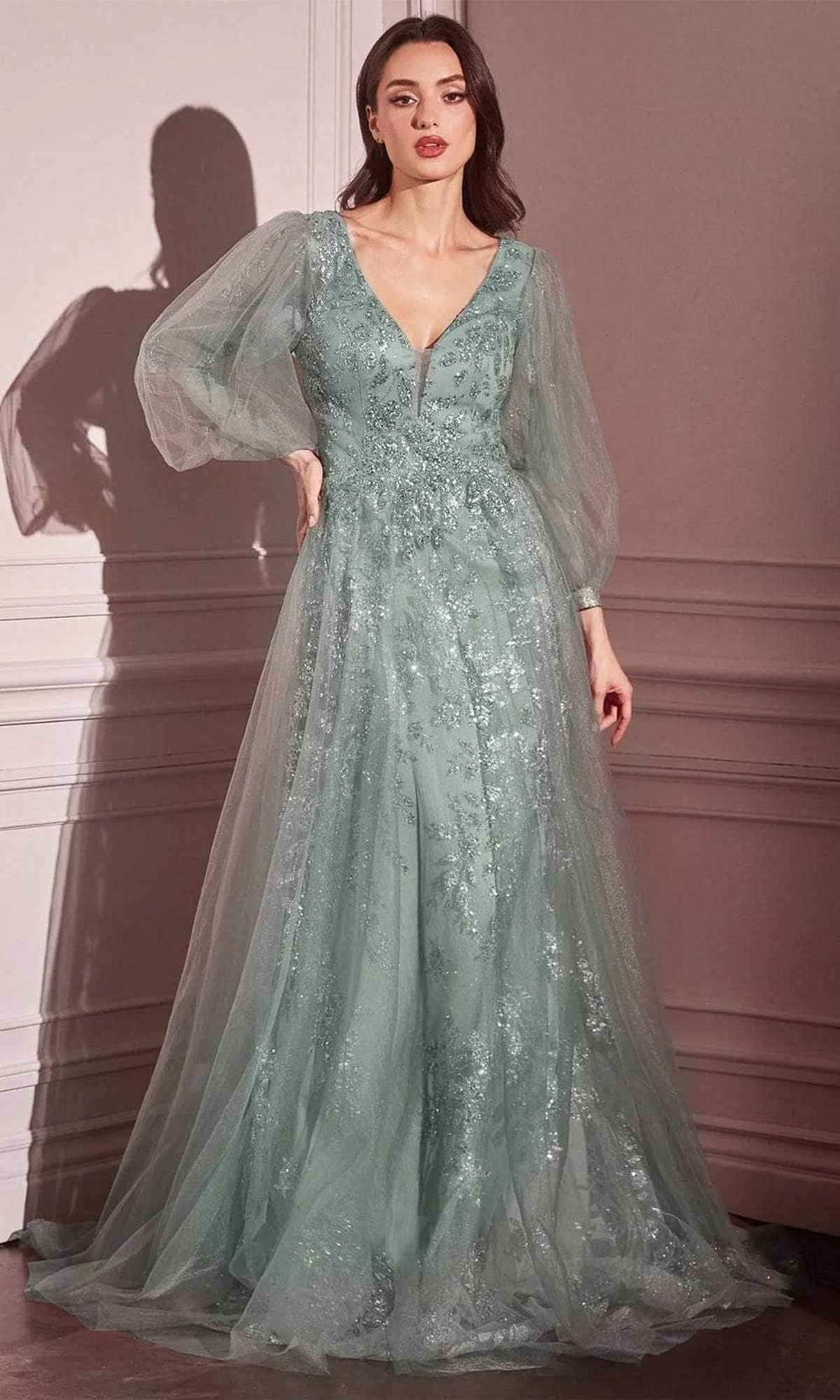 Ladivine CD0102 - Long Sleeve Applique Gown