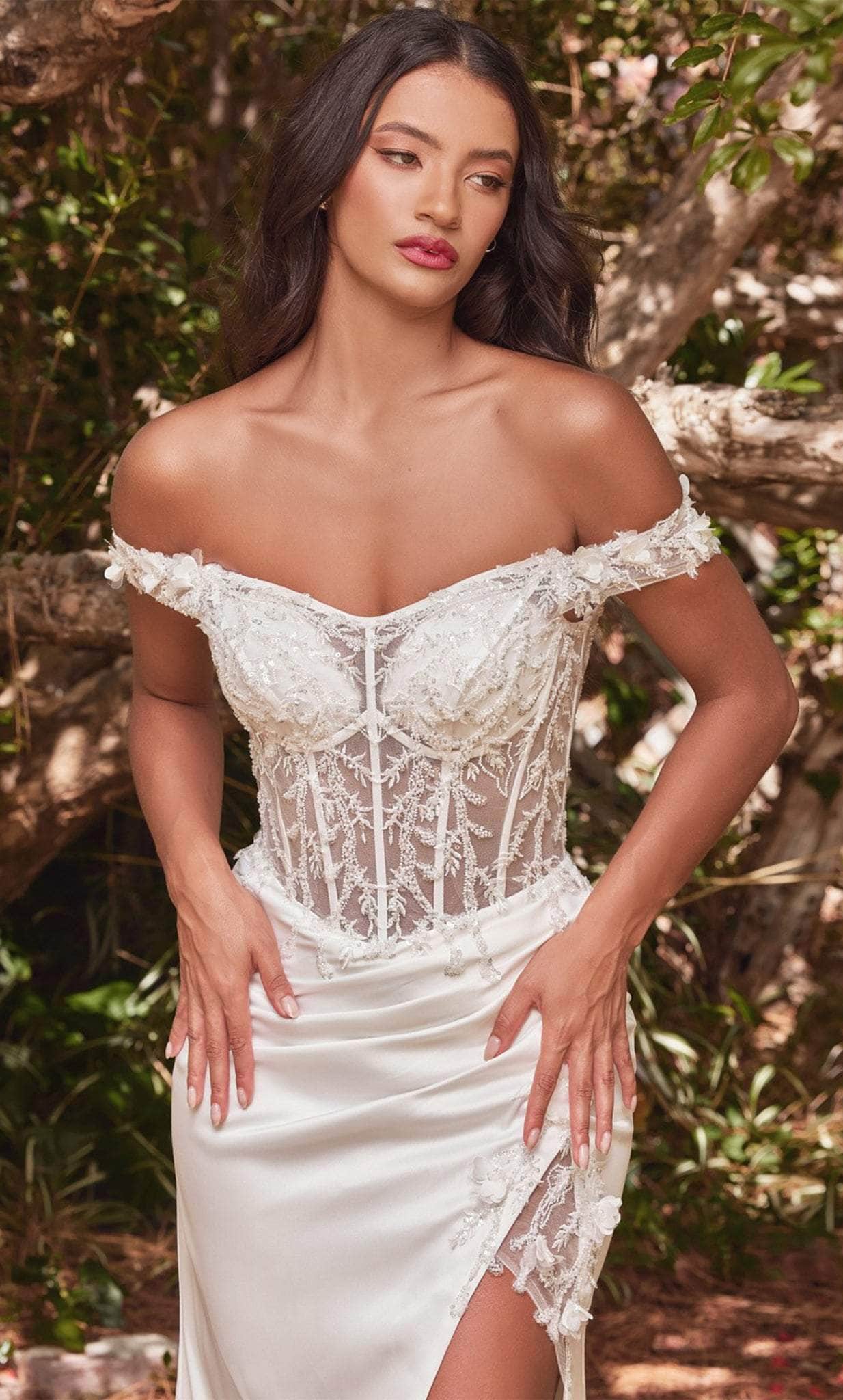 Cinderella Divine CD0186W - Sheer Lace Bodice Wedding Dress - back view