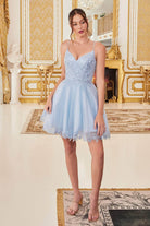 Ladivine CD0213 - Embroidered Sleeveless Cocktail Dress