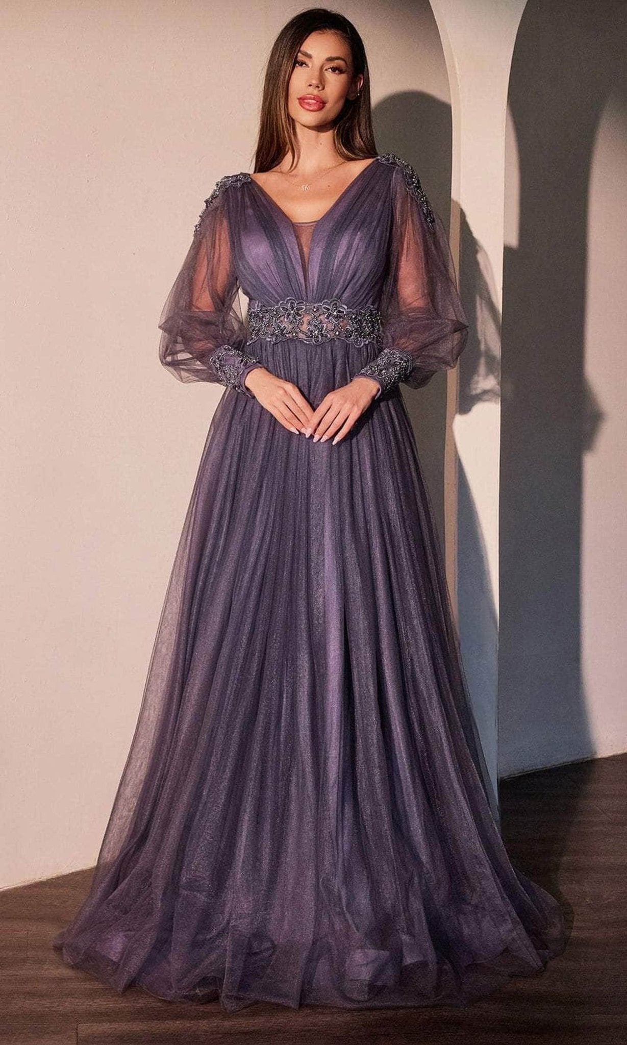 Ladivine CD0938 - Sheer Long Sleeve Lace Applique Prom Gown - Silhouette Dresses