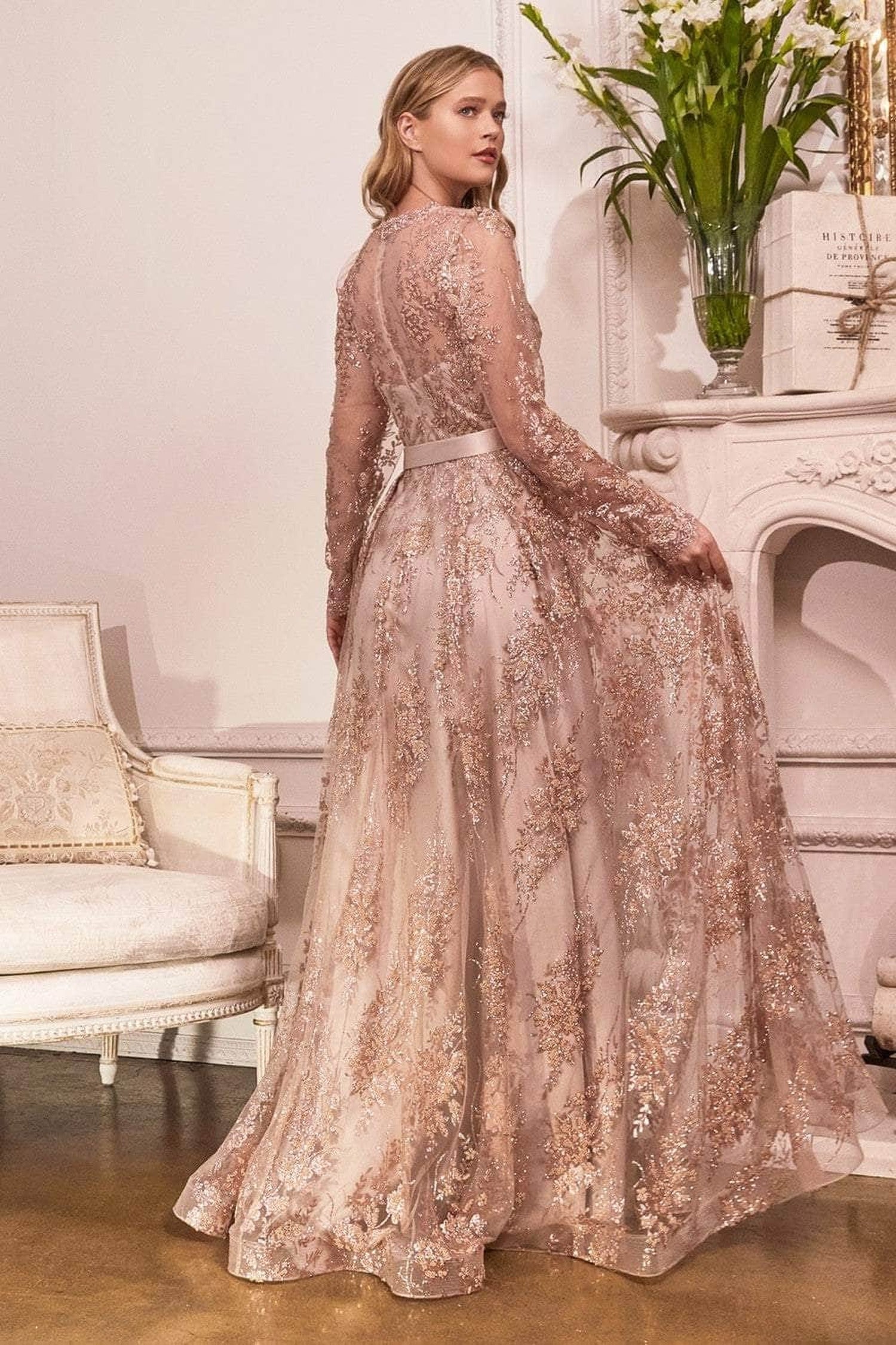 Ladivine CD233C - Long sleeve A-Line Gown