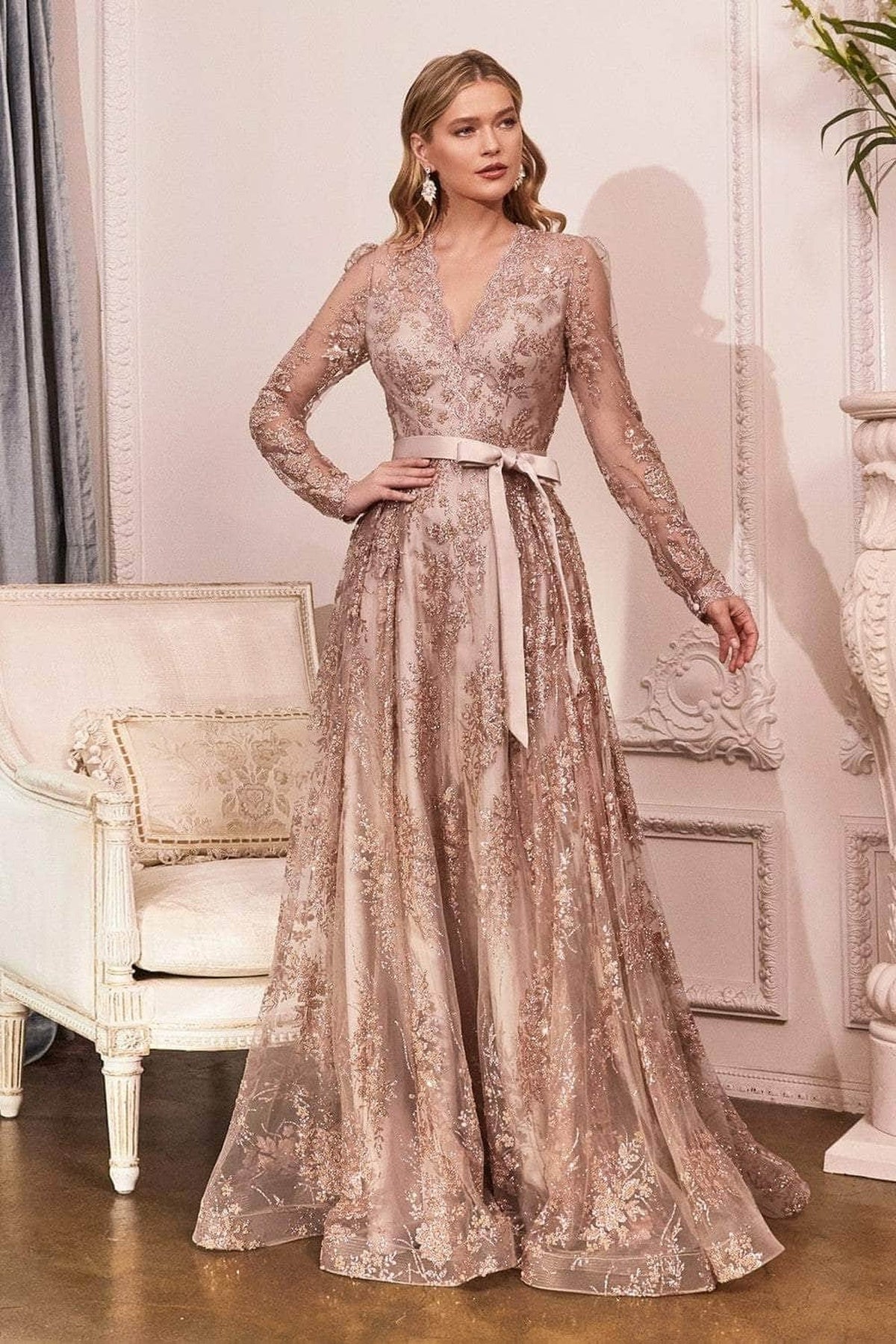 Ladivine CD233C - Long sleeve A-Line Gown
