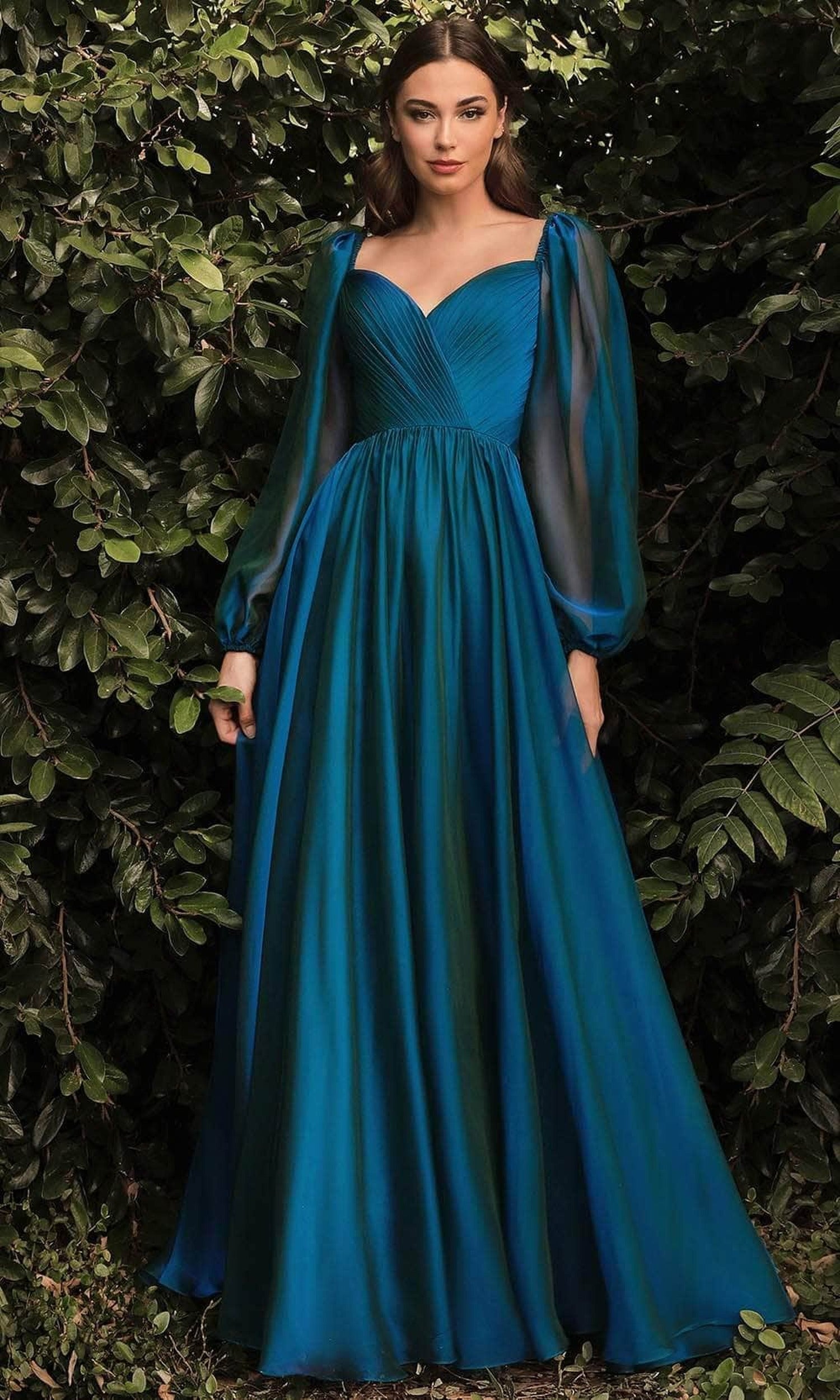 Ladivine CD243 - Long Sleeve Chiffon A-Line Dress