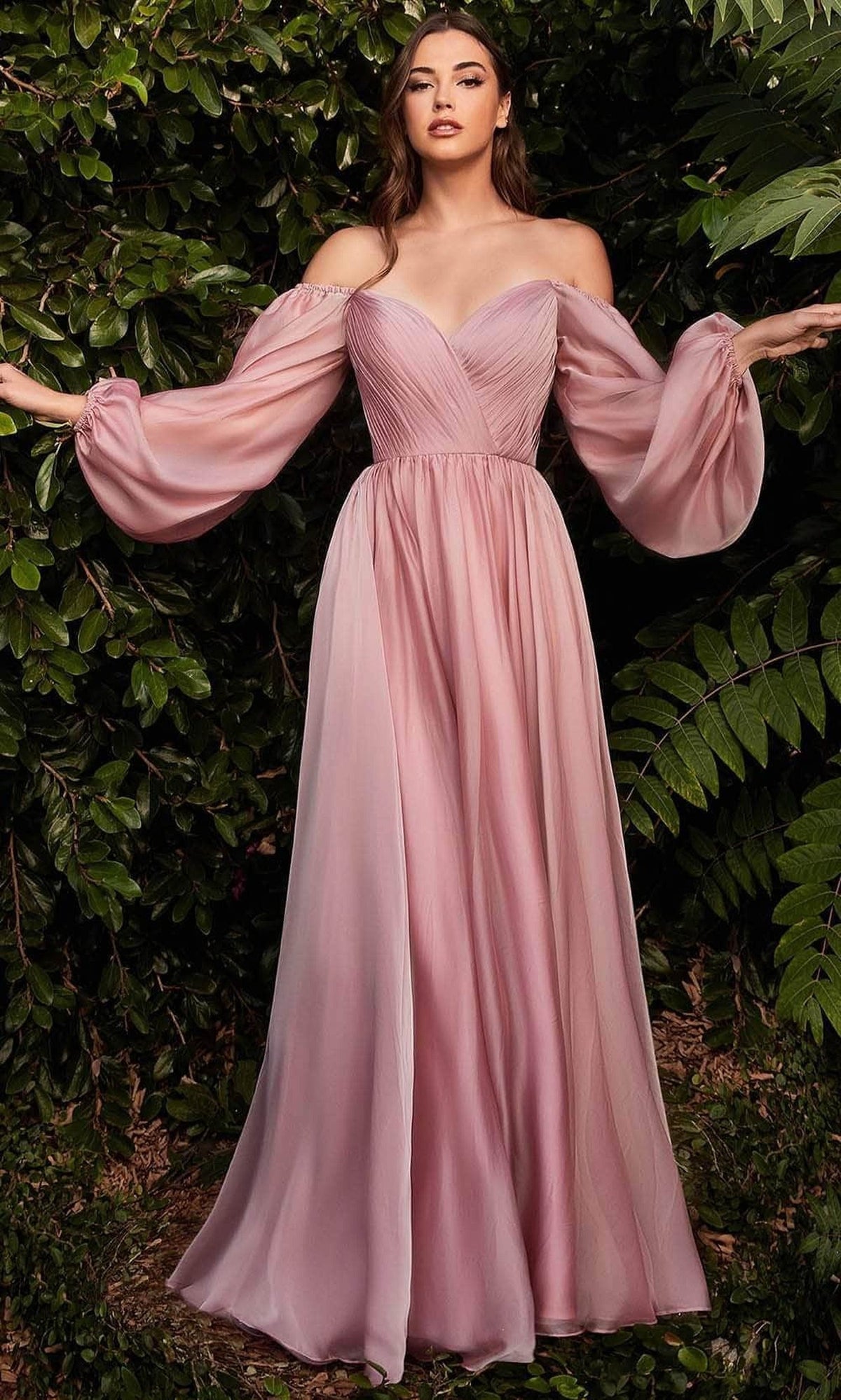 Ladivine CD243 - Long Sleeve Chiffon A-Line Dress
