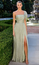 Ladivine CD418 - Draped Sleeve Pleated Chiffon Gown